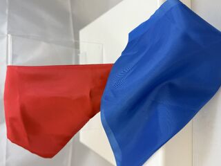 Double Color Changing Silks.Red/Blue.jpeg